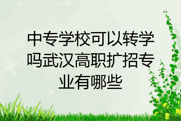 中专学校可以转学吗武汉高职扩招专业有哪些
