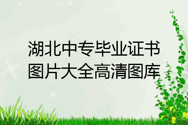 湖北中专毕业证书图片大全高清图库