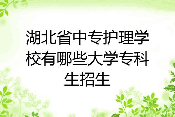 湖北省中专护理学校有哪些大学专科生招生
