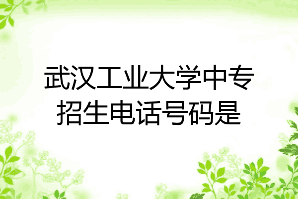武汉工业大学中专招生电话号码是