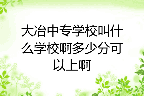 大冶中专学校叫什么学校啊多少分可以上啊