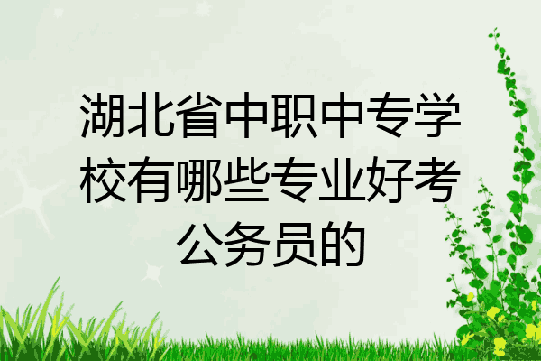 湖北省中职中专学校有哪些专业好考公务员的