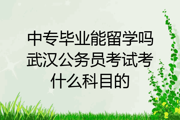 中专毕业能留学吗武汉公务员考试考什么科目的