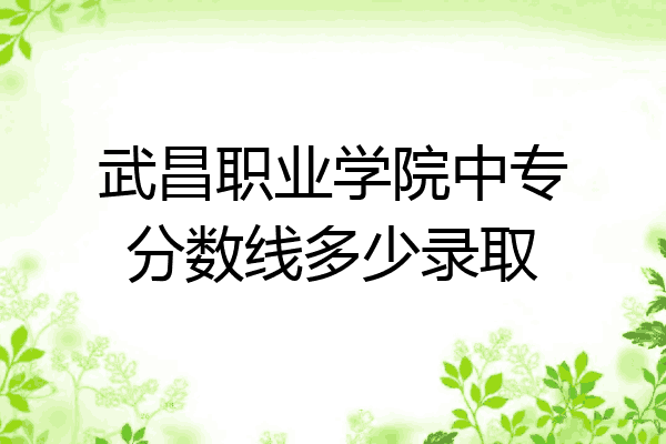 武昌职业学院中专分数线多少录取