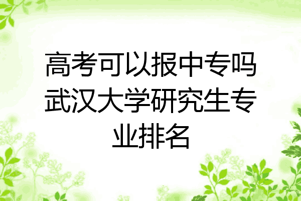 高考可以报中专吗武汉大学研究生专业排名