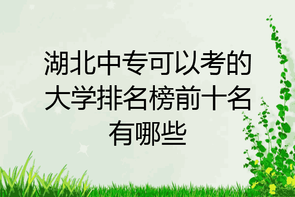湖北中专可以考的大学排名榜前十名有哪些
