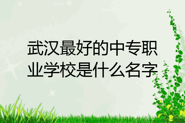 武汉最好的中专职业学校是什么名字