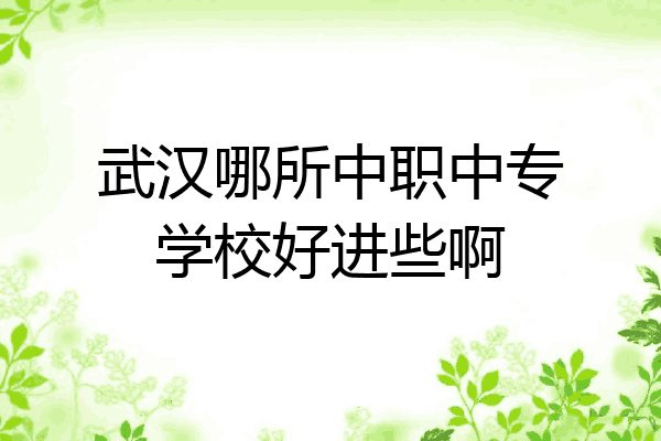 武汉哪所中职中专学校好进些啊