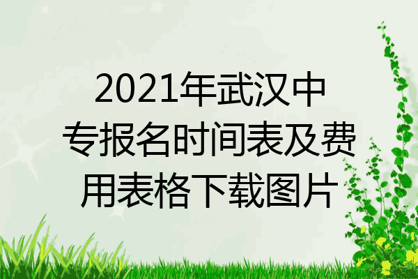 2021年武汉中专报名时间表及费用表格下载图片