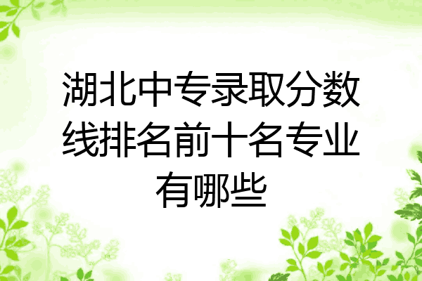 湖北中专录取分数线排名前十名专业有哪些
