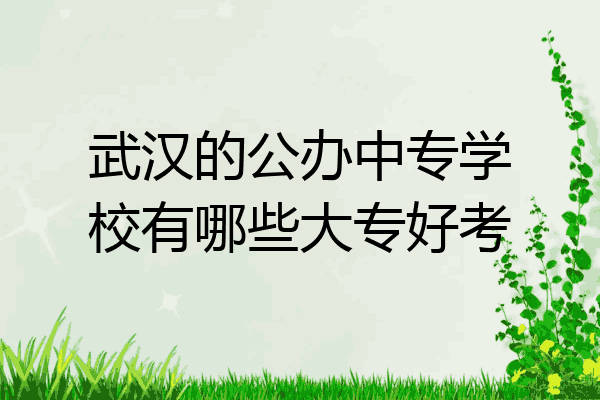 武汉的公办中专学校有哪些大专好考