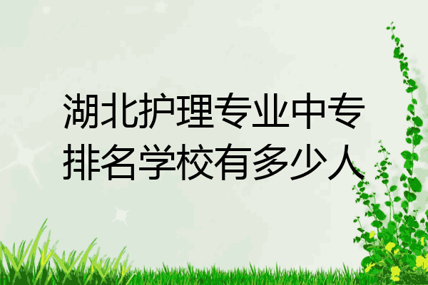 湖北护理专业中专排名学校有多少人