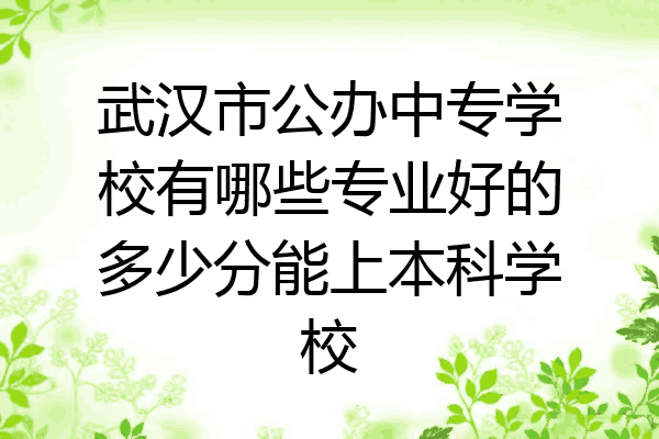 武汉市公办中专学校有哪些专业好的多少分能上本科学校