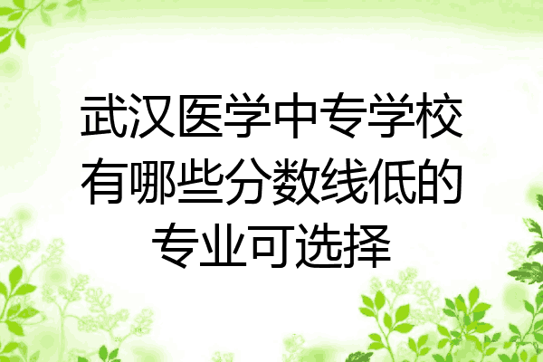 武汉医学中专学校有哪些分数线低的专业可选择