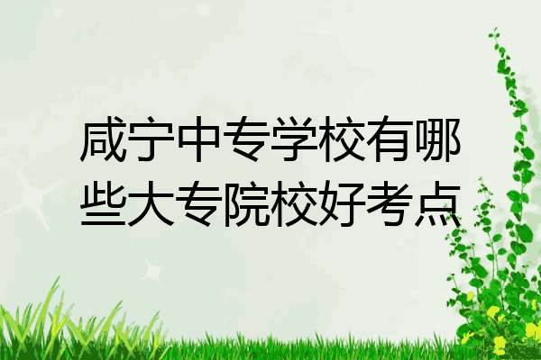 咸宁中专学校有哪些大专院校好考点