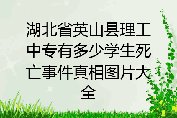 湖北省英山县理工中专有多少学生死亡事件真相图片大全