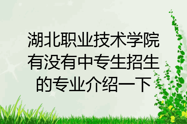 湖北职业技术学院有没有中专生招生的专业介绍一下