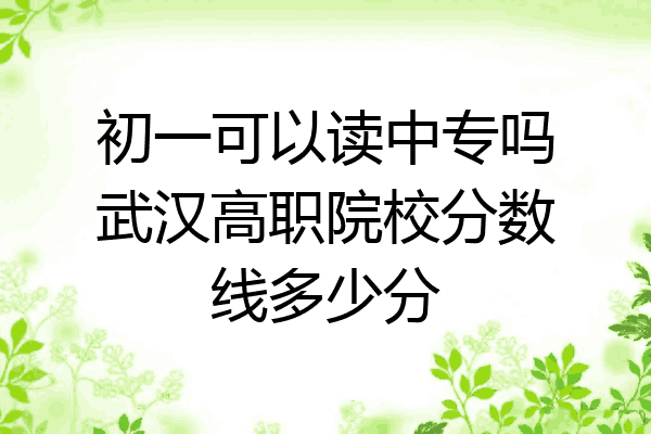 初一可以读中专吗武汉高职院校分数线多少分
