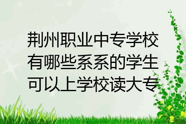 荆州职业中专学校有哪些系系的学生可以上学校读大专