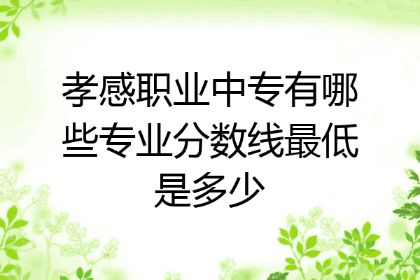 孝感职业中专有哪些专业分数线最低是多少