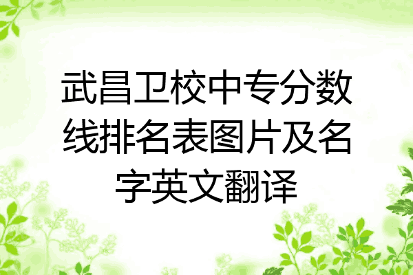 武昌卫校中专分数线排名表图片及名字英文翻译