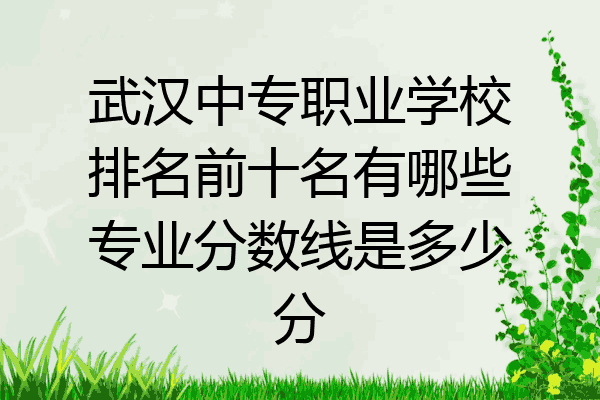 武汉中专职业学校排名前十名有哪些专业分数线是多少分