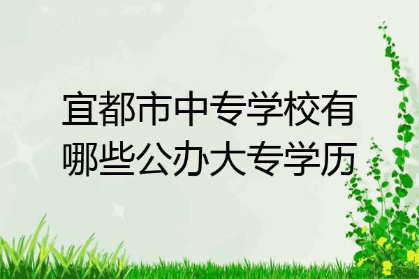 宜都市中专学校有哪些公办大专学历
