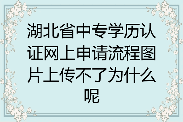 湖北省中专学历认证网上申请流程图片上传不了为什么呢