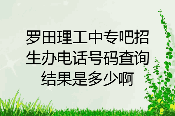 罗田理工中专吧招生办电话号码查询结果是多少啊