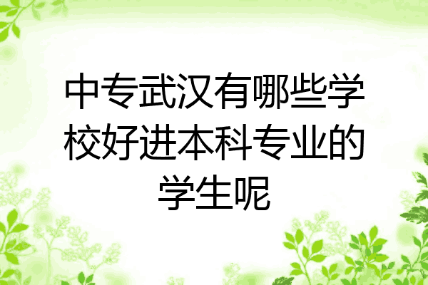 中专武汉有哪些学校好进本科专业的学生呢