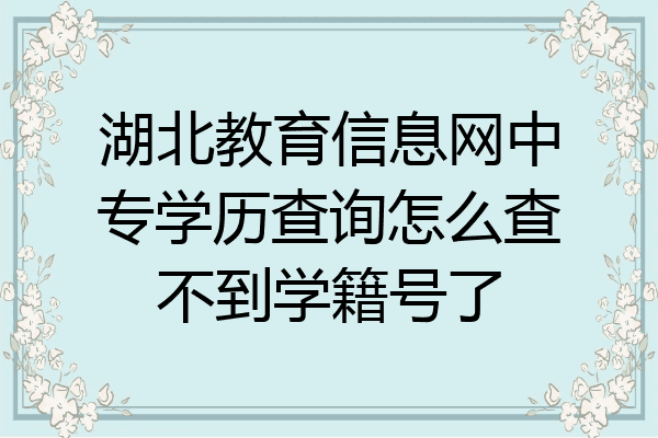 湖北教育信息网中专学历查询怎么查不到学籍号了