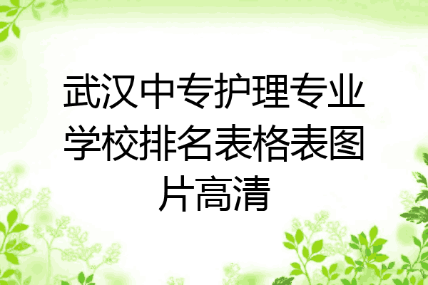 武汉中专护理专业学校排名表格表图片高清