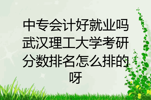中专会计好就业吗武汉理工大学考研分数排名怎么排的呀