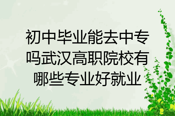 初中毕业能去中专吗武汉高职院校有哪些专业好就业