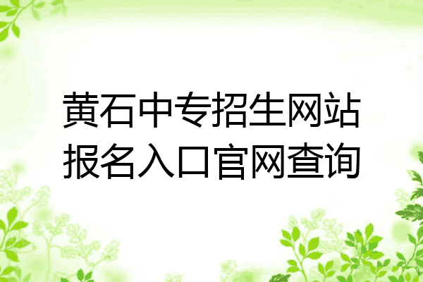 黄石中专招生网站报名入口官网查询