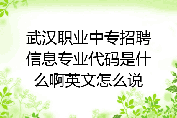 武汉职业中专招聘信息专业代码是什么啊英文怎么说