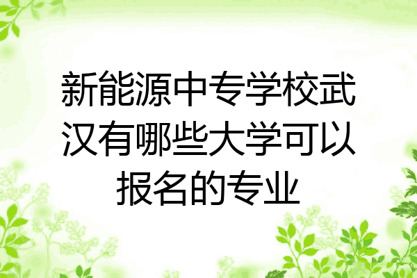 新能源中专学校武汉有哪些大学可以报名的专业