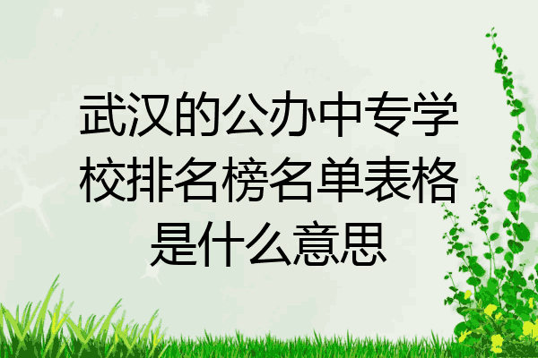 武汉的公办中专学校排名榜名单表格是什么意思