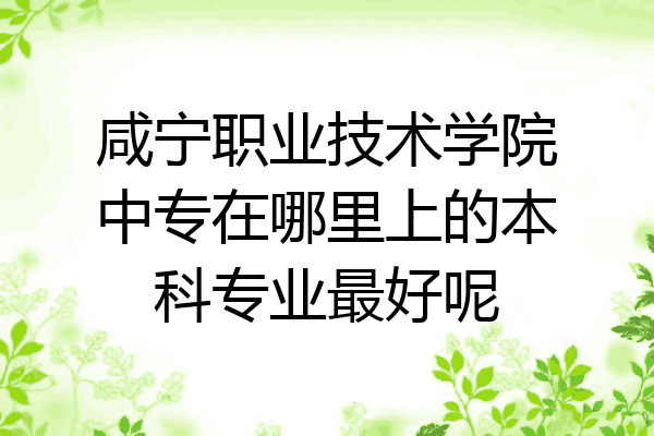 咸宁职业技术学院中专在哪里上的本科专业最好呢