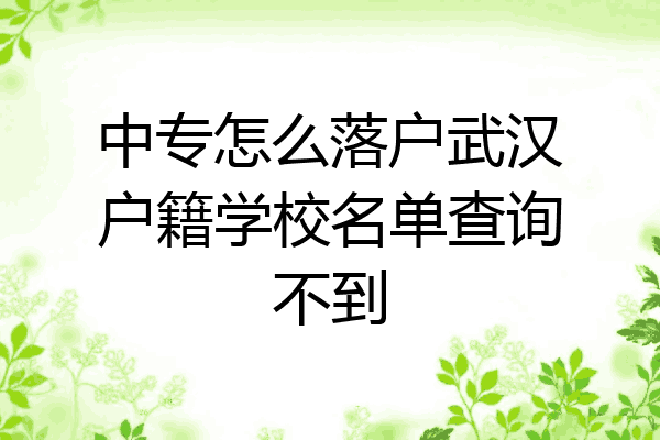 中专怎么落户武汉户籍学校名单查询不到
