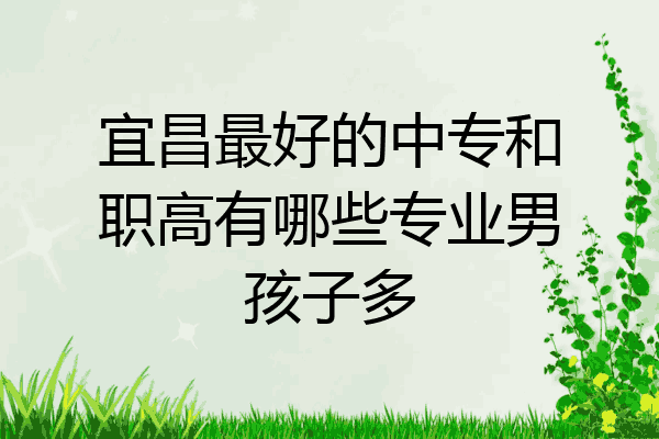 宜昌最好的中专和职高有哪些专业男孩子多