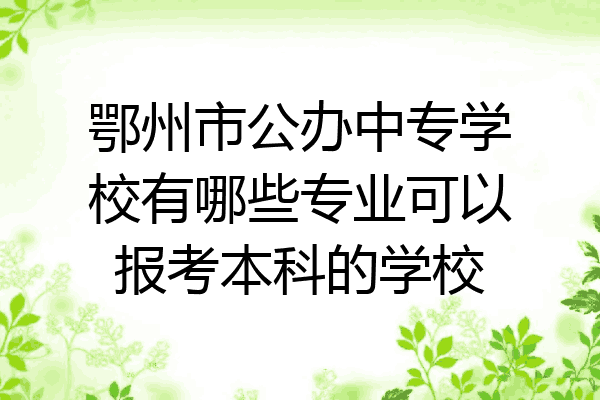 鄂州市公办中专学校有哪些专业可以报考本科的学校