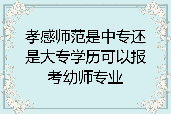 孝感师范是中专还是大专学历可以报考幼师专业