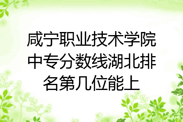 咸宁职业技术学院中专分数线湖北排名第几位能上