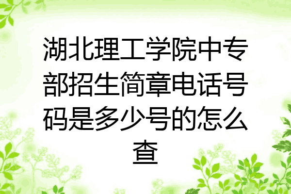 湖北理工学院中专部招生简章电话号码是多少号的怎么查