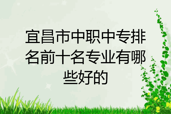 宜昌市中职中专排名前十名专业有哪些好的