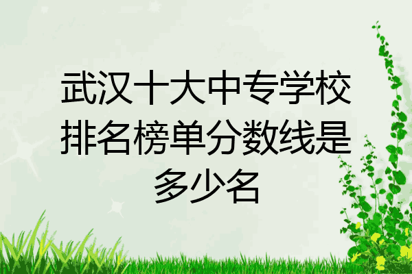 武汉十大中专学校排名榜单分数线是多少名