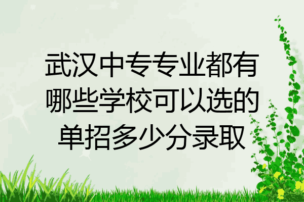 武汉中专专业都有哪些学校可以选的单招多少分录取