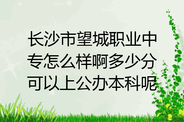 长沙市望城职业中专怎么样啊多少分可以上公办本科呢