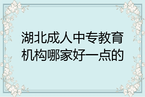 湖北成人中专教育机构哪家好一点的
